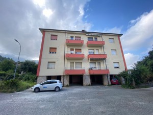 montignoso via sforza 52